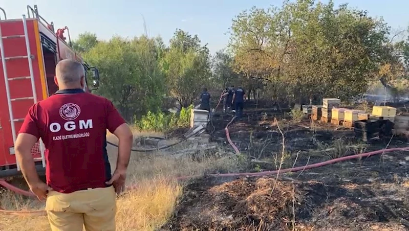 Elazığ’da anız yangını; arı kovanları ve ağaçlar zarar gördü