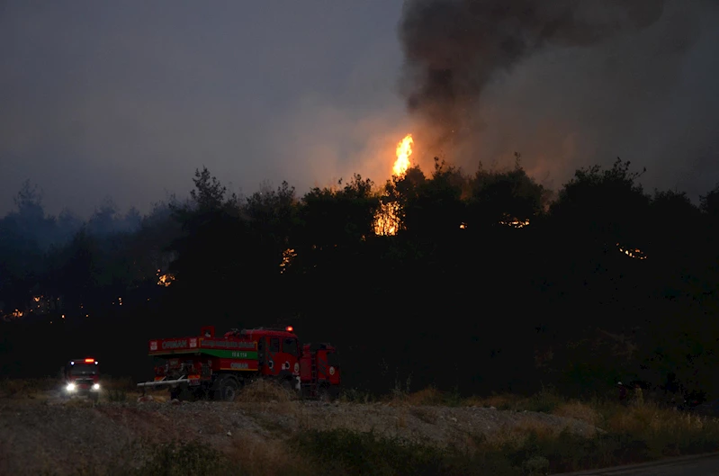 Sakarya’da çıkıp Bilecik’e sıçrayan orman yangını yayıldı; 4 köy tahliye edildi/ Ek fotoğraflar