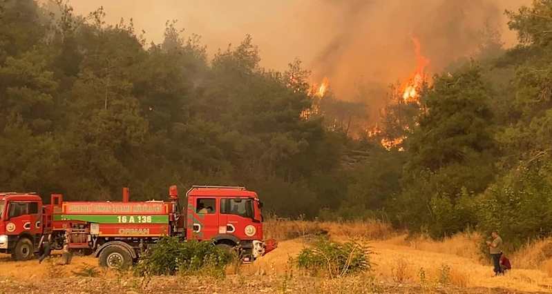 Sakarya’da çıkıp Bilecik’e sıçrayan orman yangını yayıldı; 4 köy tahliye edildi/ Ek fotoğraflar