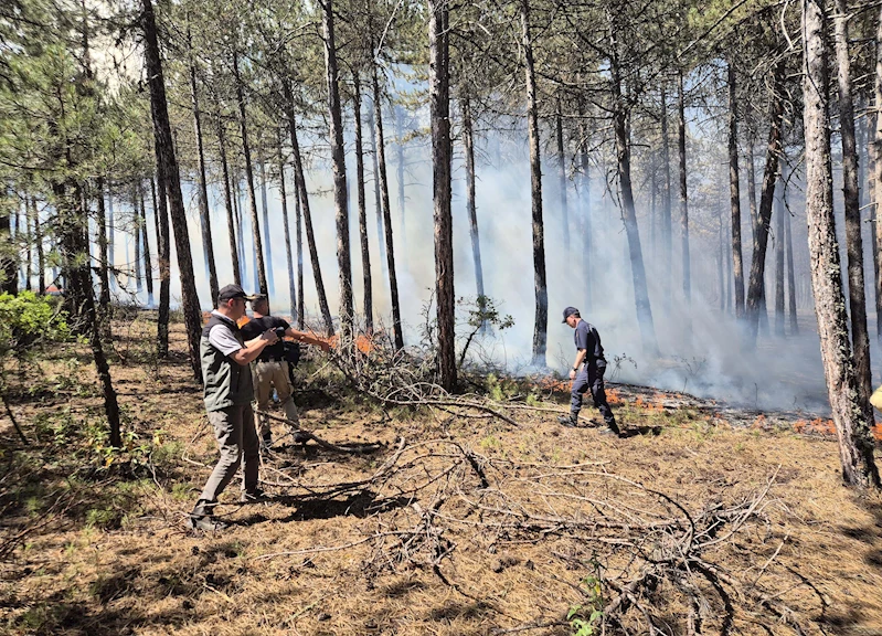 Eskişehir’de orman yangını / Ek fotoğraflar
