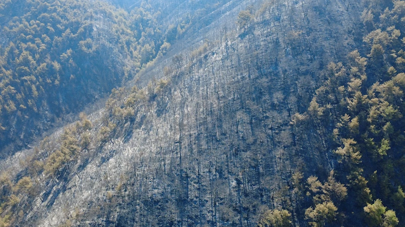 Karabük
