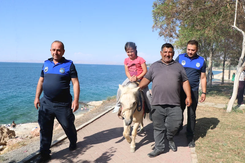 Atlı zabıtanın 