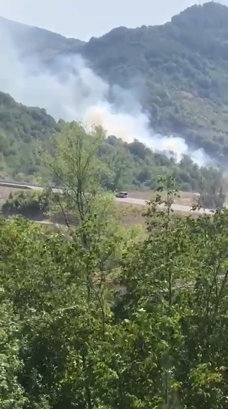 Bartın