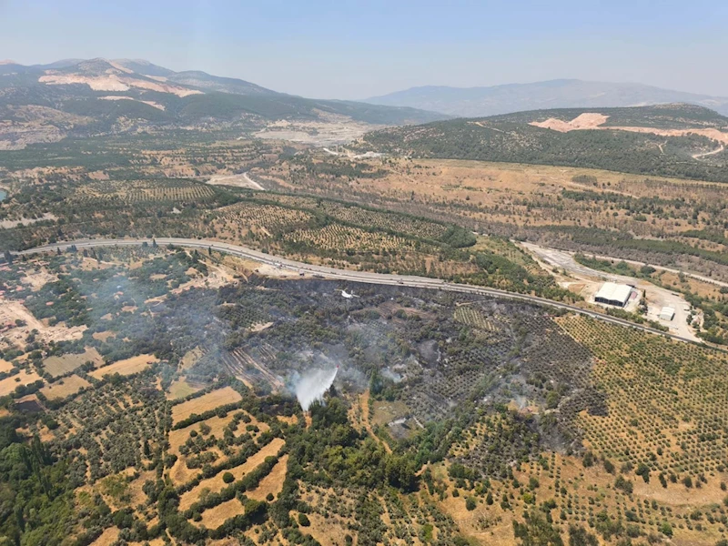 Muğla