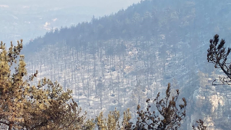 Karabük