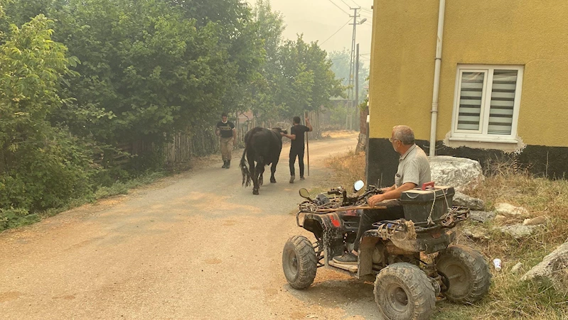 Karabük’teki orman yangınlarında 4