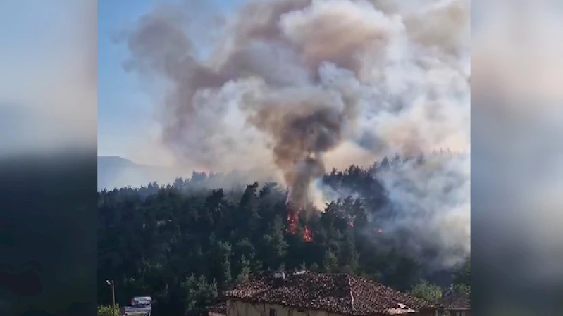 Bursa’da orman yangını (4)