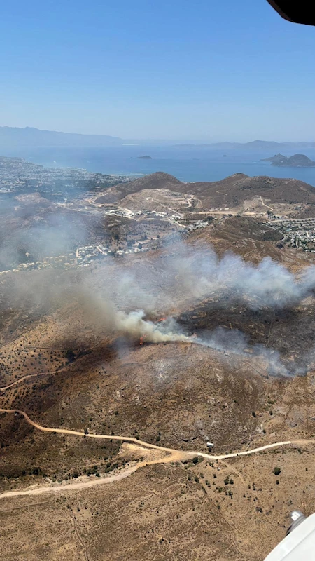 Bodrum’da ot yangını