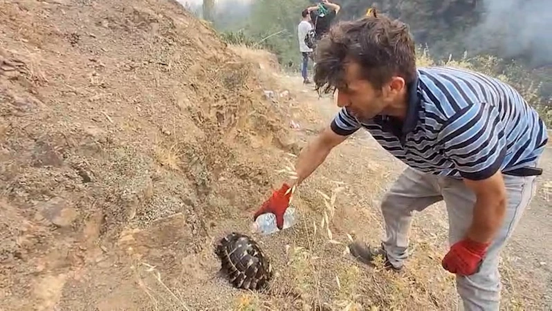 Bursa’daki yangın bölgesi dronla görüntülendi (12)