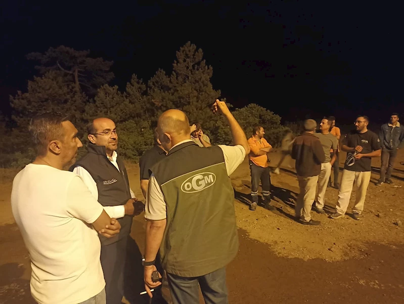 Bursa’da orman yangını (12)