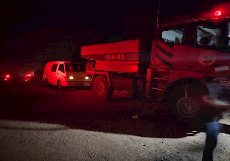 Bursa’da orman yangını (11)