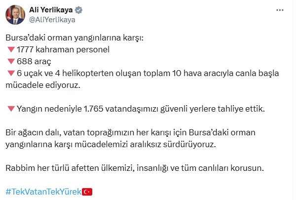 Bursa