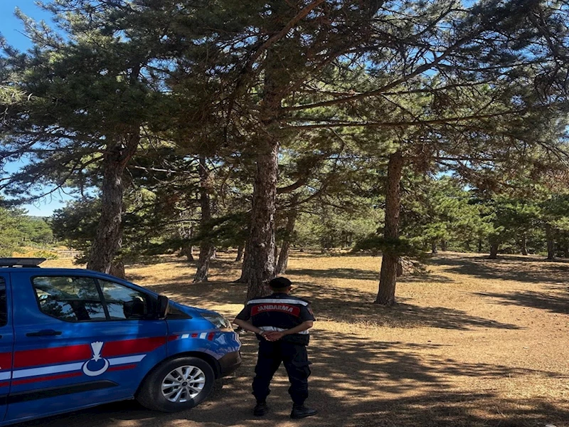 Sakarya