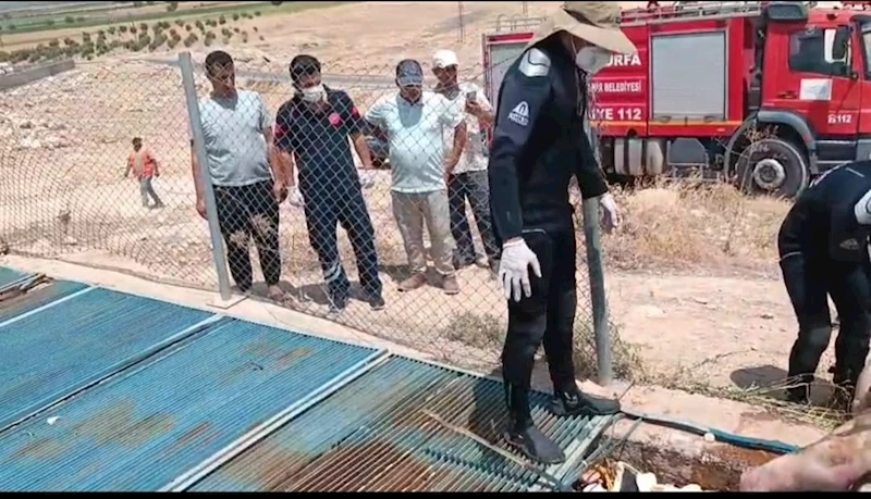 Sulama kanalında kaybolan Mehmet Fatih