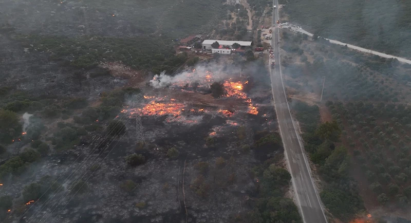 İzmir Çeşme’de orman yangını (8) / Gündüz dron ve aktüel görüntüler