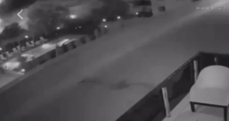 Havai fişek atıp yangın çıkaran 2 kişi, 100’er adet ağaç dikecek