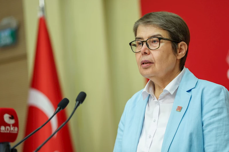 CHP’li Şahbaz: Hasta tutuklu ve mahkumlar zamanında sağlık hizmetine ulaşmalıdır