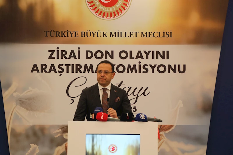 Bakan Yardımcısı Gizligider: 7 günde 624 orman yangını çıktı, son 3