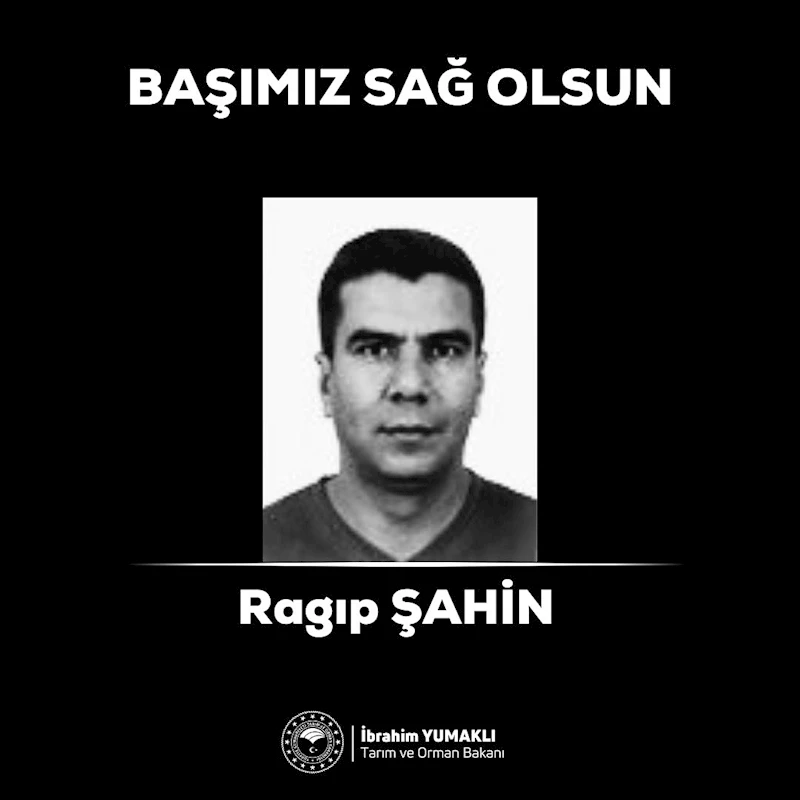 Ödemiş