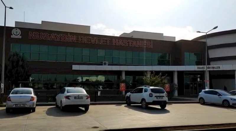 Nusaybin’de hafif ticari aracın çarptığı yaya, öldü