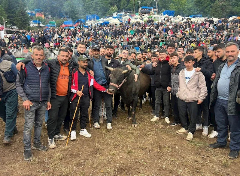 Artvin