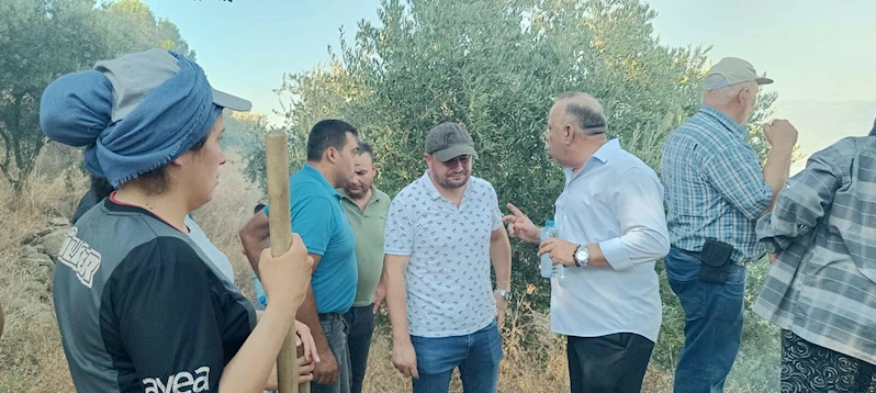 Aydın