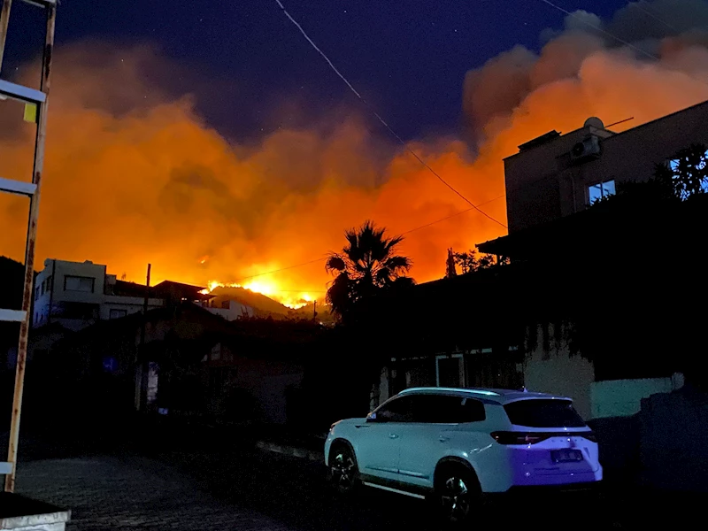 Hatay’daki orman yangınına ilişkin 1 gözaltı