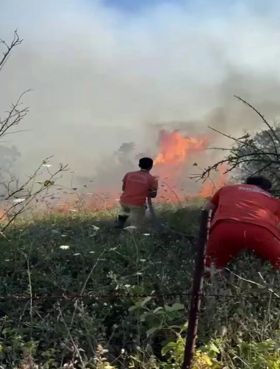 Sakarya’da ağaçlık alanda yangın