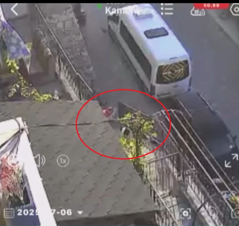 Amasya - Köpeği taş ve sopayla dövdü /Video eklendi 