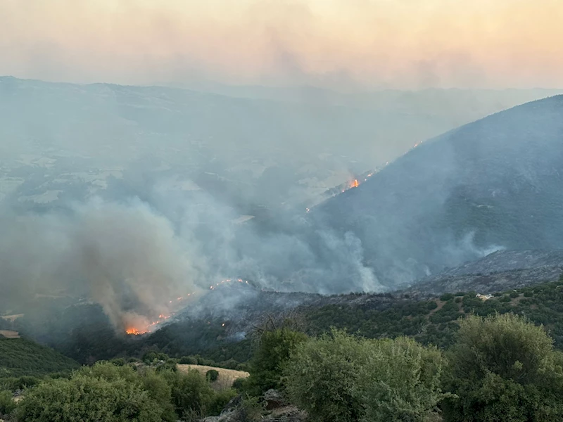 Manisa Sarıgöl’de çıkan yangın Uşak’a ulaştı; bazı evler tahliye edildi