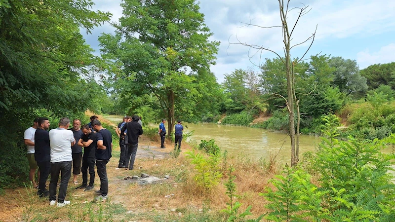 Sakarya Nehri’ne girip kayboldu