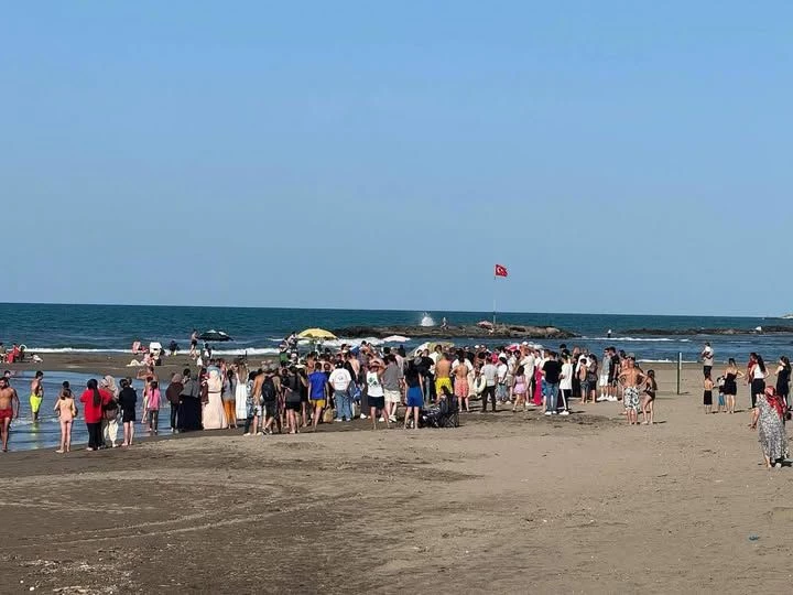 Ordu