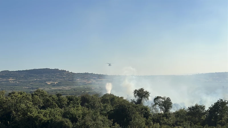 Çanakkale’de orman yangını (3)