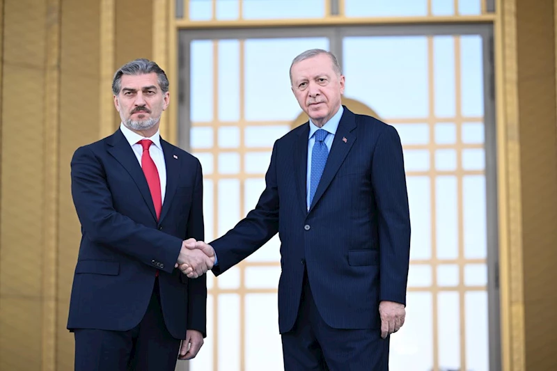 Cumhurbaşkanı Erdoğan, Gürcistan Cumhurbaşkanı Kavelaşvili