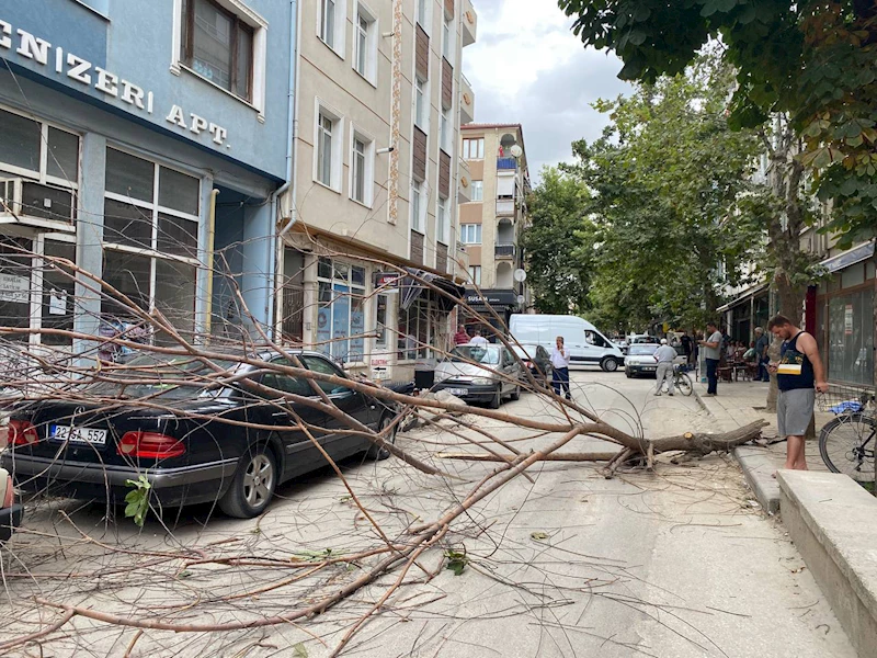 Marmara için 
