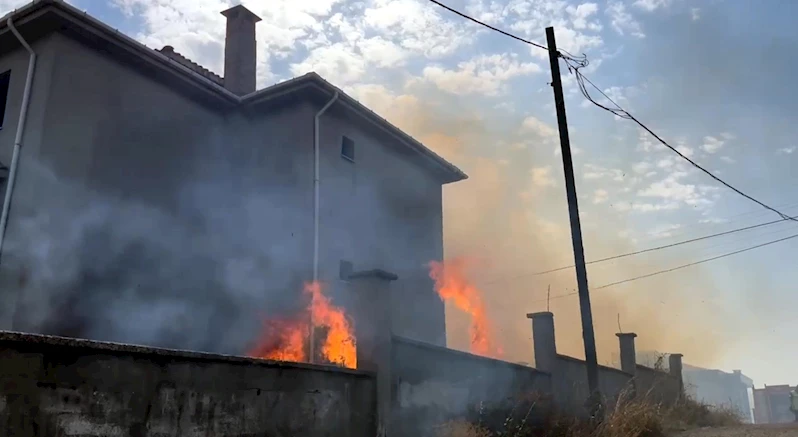 Tekirdağ