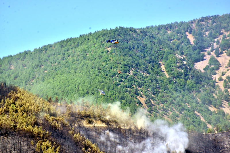 Hatay