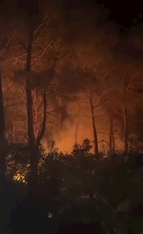 Çanakkale’de orman yangını 