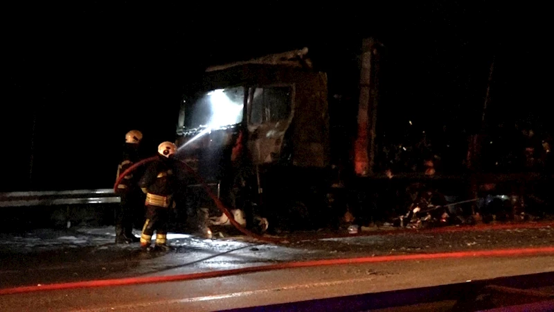 Samsun’da seyir halindeki TIR’da çıkan yangında alevler ağaçlara sıçradı / Ek fotoğraflar
