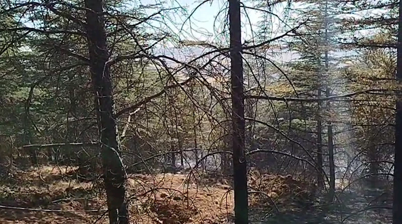 Ankara