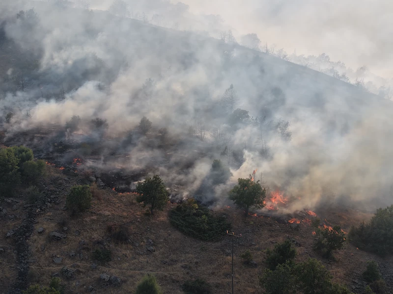 Malatya’da orman yangını (2)