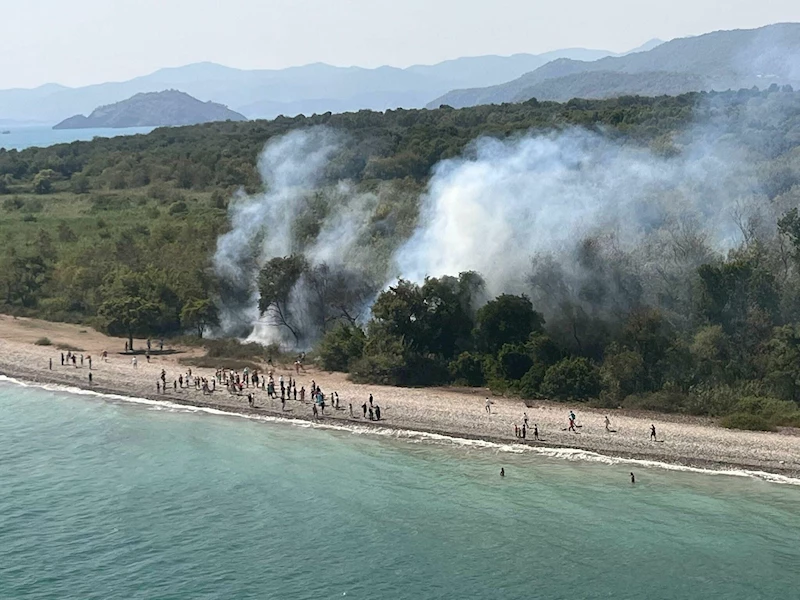 Muğla