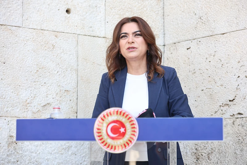 DEM Parti