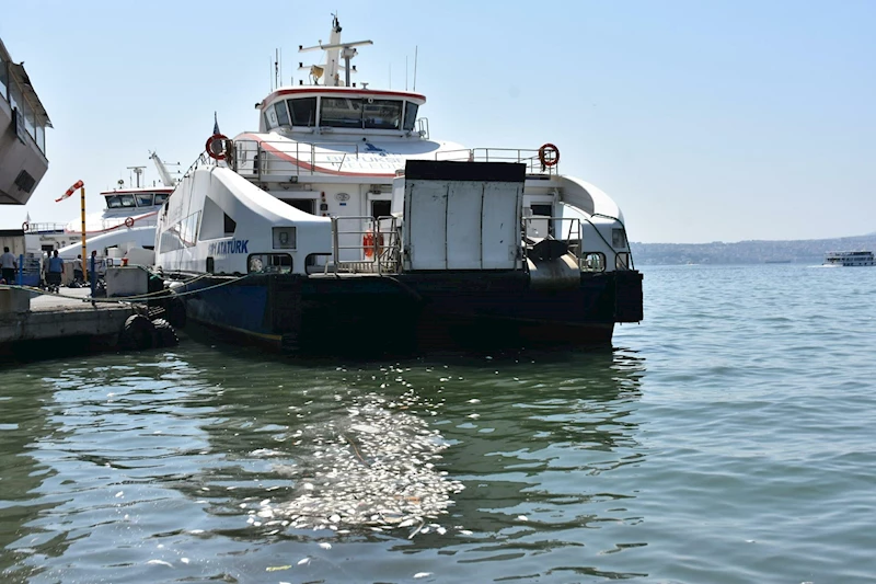 İzmir Körfezi