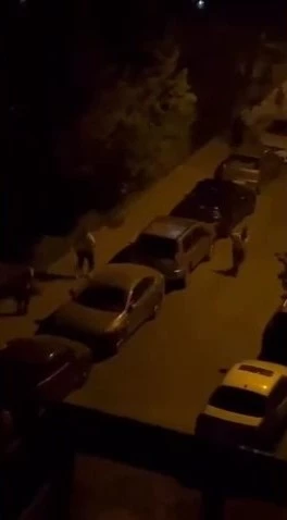 İstanbul- Başakşehir