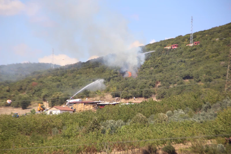 Kocaeli