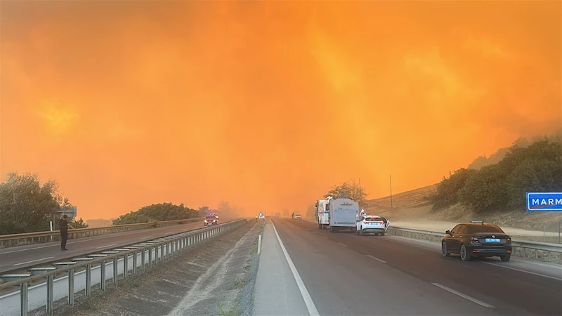 Bursa’da orman yangını (3)