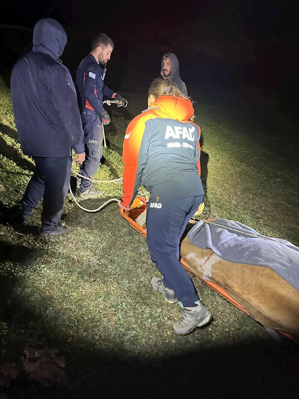 Artvin’de kayalıklara düşen inek AFAD ekipleri tarafından kurtarıldı