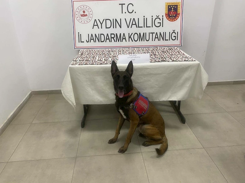 Aydın