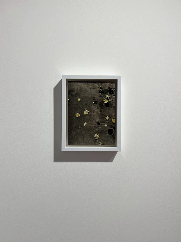 Vision Art Platform